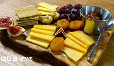 Lab-grown cheese is coming – but would you eat it?