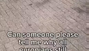 Again European W