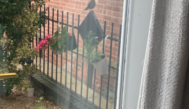 Any twitchers know what’s going on with this guy? He’s been tweeting frantically all day