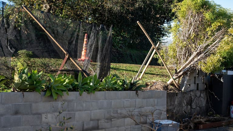 Damage to the trees and retaining wall of Mike's home in Courtney Rd in Gate Pā.