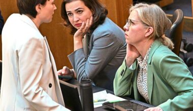 Nationalrat: Meiste Spitzenverdiener gibt es bei der FPÖ