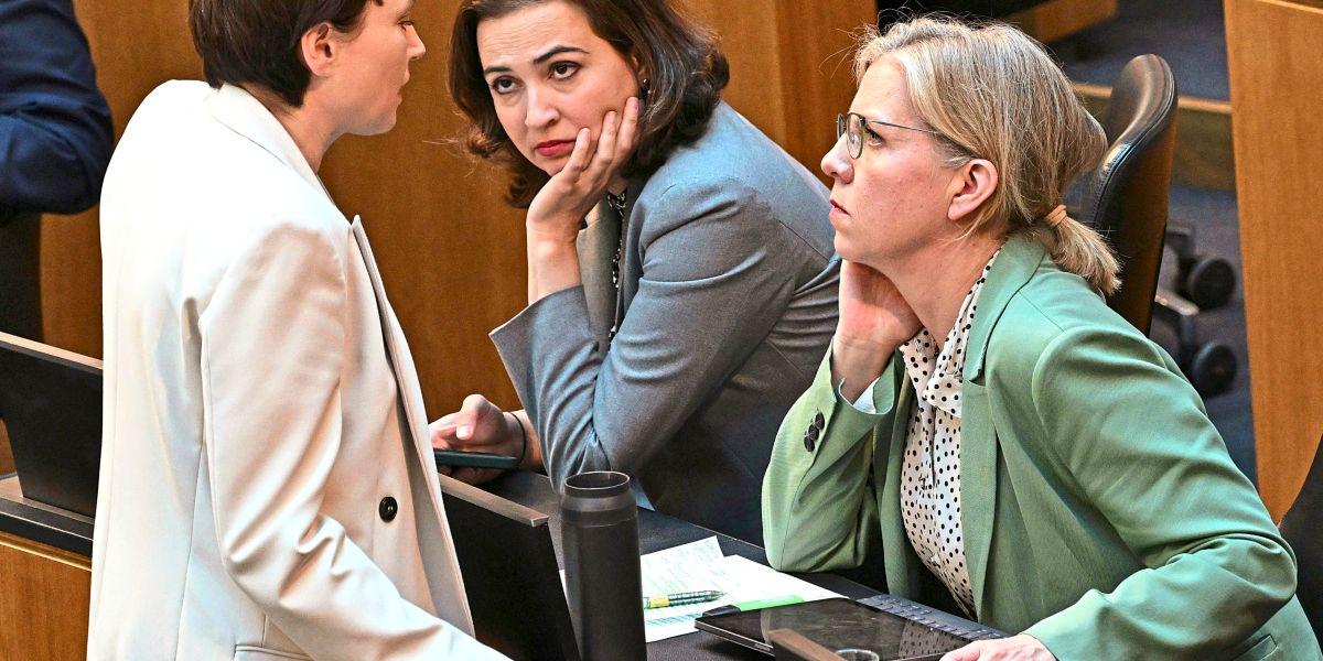 Nationalrat: Meiste Spitzenverdiener gibt es bei der FPÖ