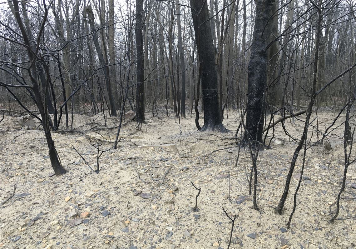 EQT faces criminal charges over Equitrans storage well leak in Cambria County