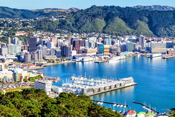 New Zealand’s Online Casino Bill passes first parliamentary reading — CDC Gaming