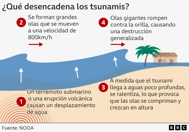 infografía que explica cómo se desencadenan los tsunamis