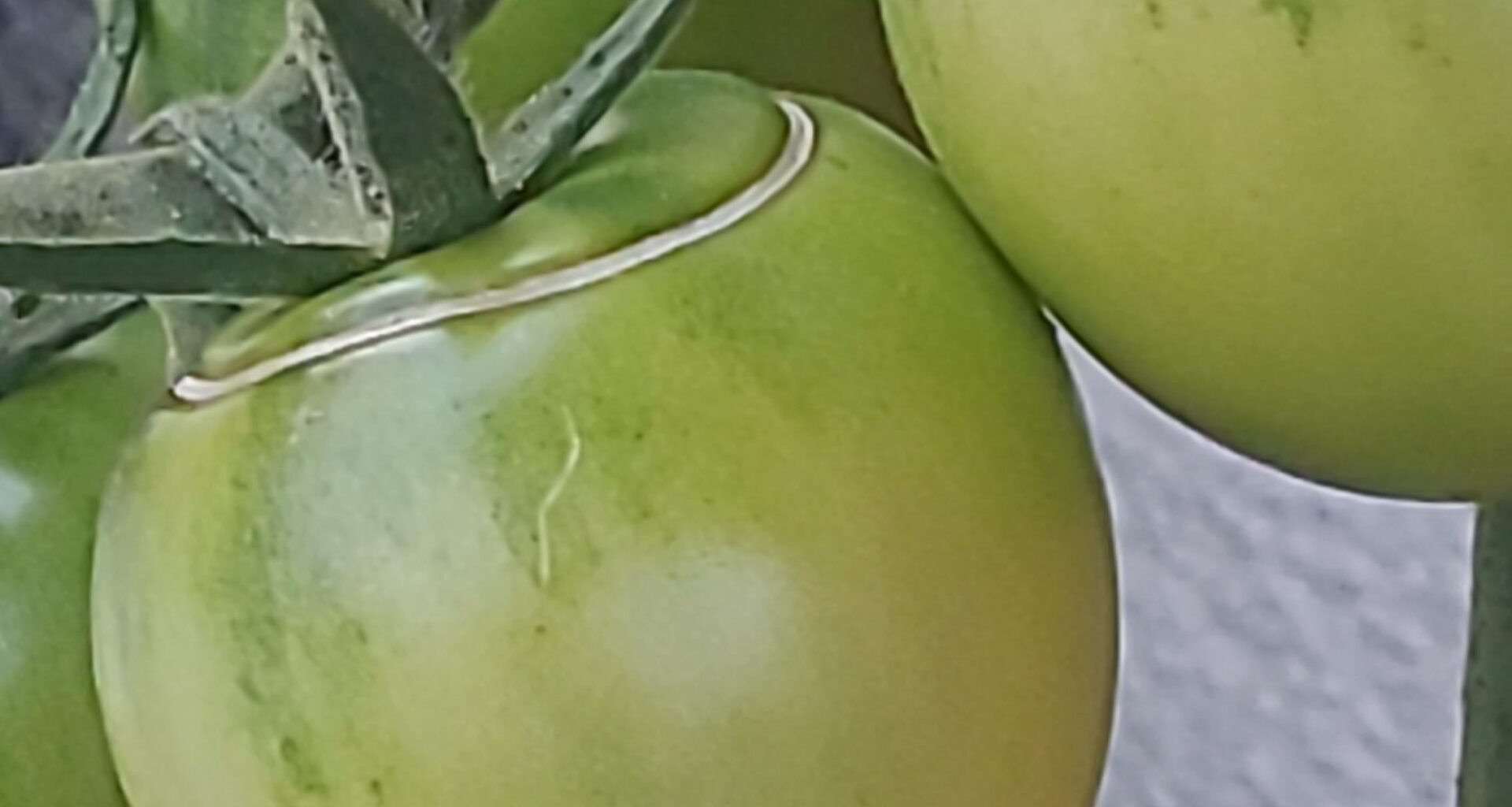Warum werden sie nicht rot und was ist das für ein Kreis oben drauf?