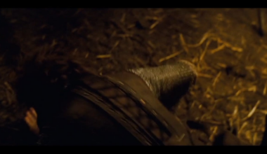 When the accent sucks you out of the movie
