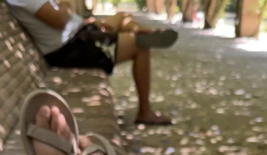 Warning: there’s a guy exposing and touching himself in public in Seville near Plaza de Espana.