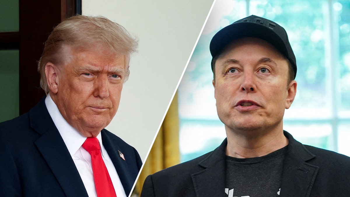 Prezidents Donalds Trumps; Elons Msuk