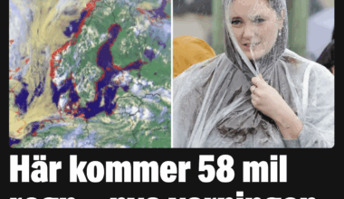 Vi kommer alla drunkna. Inga några millimeter regn, mil regn!