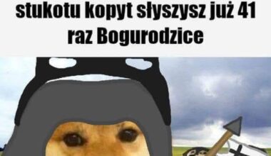 Zaraz się zacznie