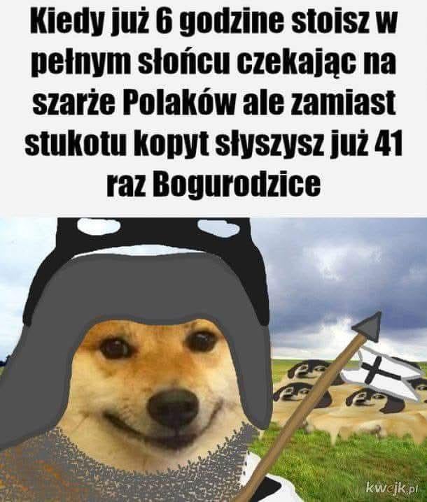 Zaraz się zacznie