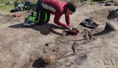 Viking Age boat grave discovered on island in northern Norway