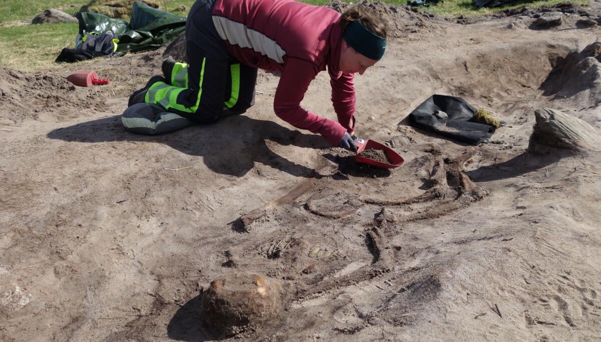 Viking Age boat grave discovered on island in northern Norway