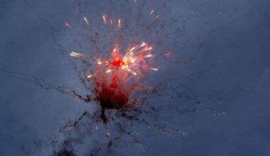 Niederlande verbieten Silvesterböller