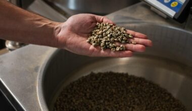 U.S. coffee drinkers and businesses will pay the price for Trump's Brazil tariffs