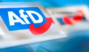 Vor Kurzem wurde eine Strategie der AfD öffentlich, wie sie ins Kanzleramt kommen will - nämlich mit Kulturkampf und Spaltung. Das Auftreten der Partei zeigt: Sie hält sich auch dran.