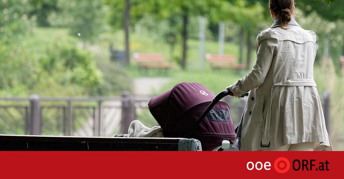 Mutter schützte Baby vor Hundeattacke