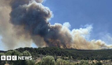Ten workers killed battling wildfires in Turkey