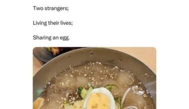 -2 strangers united by an egg-