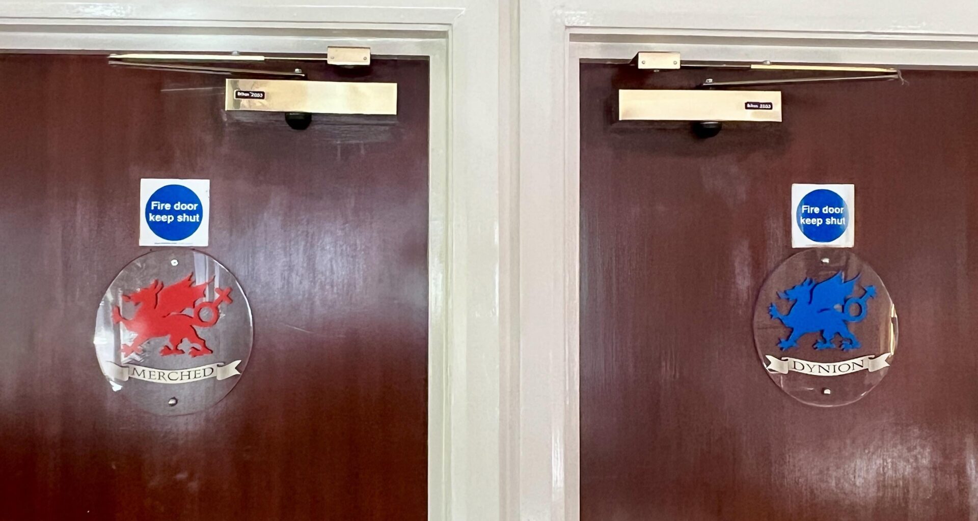 Non standard toilet signs: