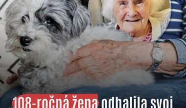 Šach-mat všetci, čo nás nútia mať deti