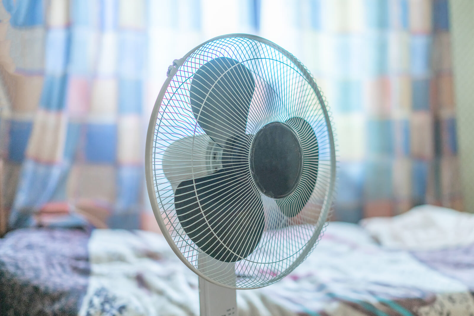 electric fan japan