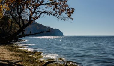 Trump Administration Policies Pose Threats To Maryland’s Ambitious Climate Efforts