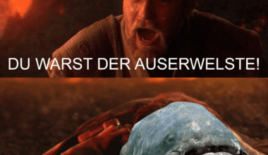 Ich_iel