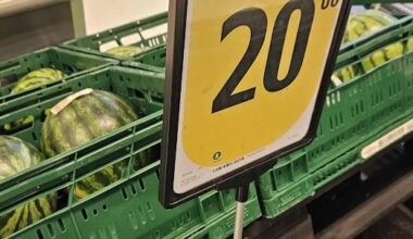 Gu' vil jeg da 'ej give 100kr for en vandmelon, jeg vil kun give 20kr. [Set i Føtex, 07/07/2025]