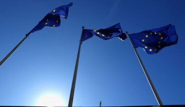 This is important since the EU is the largest investor globally, and services represent over 70 per cent of the EU’s foreign direct investment (FDI) abroad.
