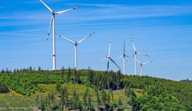 Energieexperte: "Erneuerbare Energien sind nicht mehr Klimaschutz, sondern Wirtschaft"