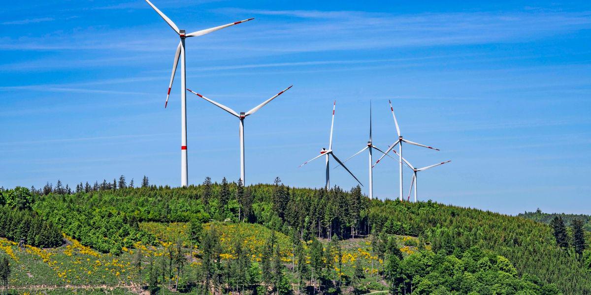 Energieexperte: "Erneuerbare Energien sind nicht mehr Klimaschutz, sondern Wirtschaft"