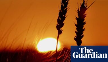 ‘Profound concern’ as scientists say extreme heat ‘now the norm’ in UK