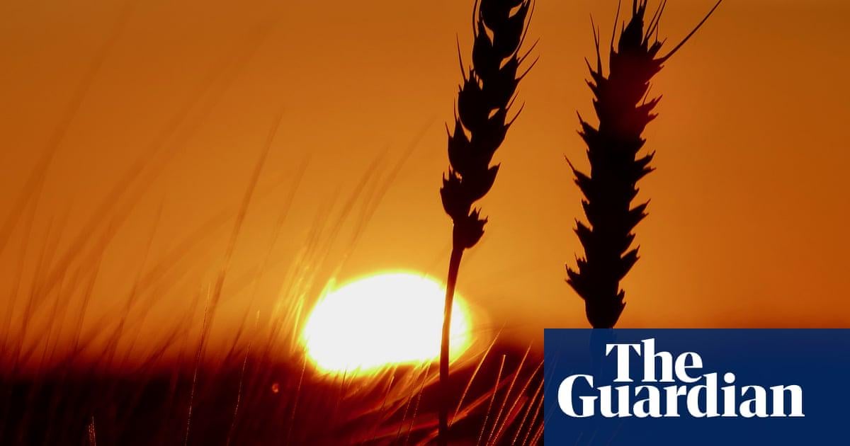 ‘Profound concern’ as scientists say extreme heat ‘now the norm’ in UK