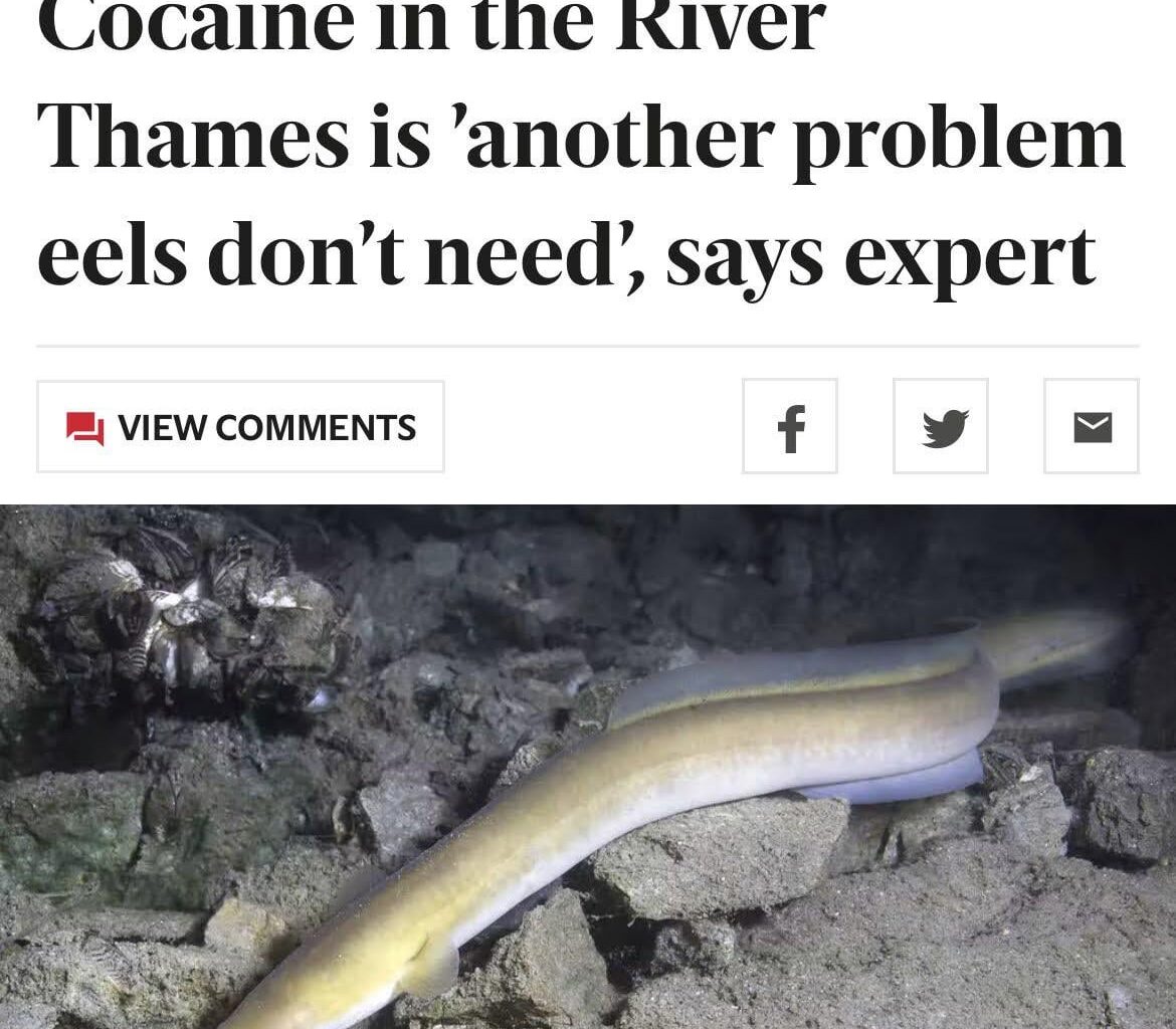 least addict animals