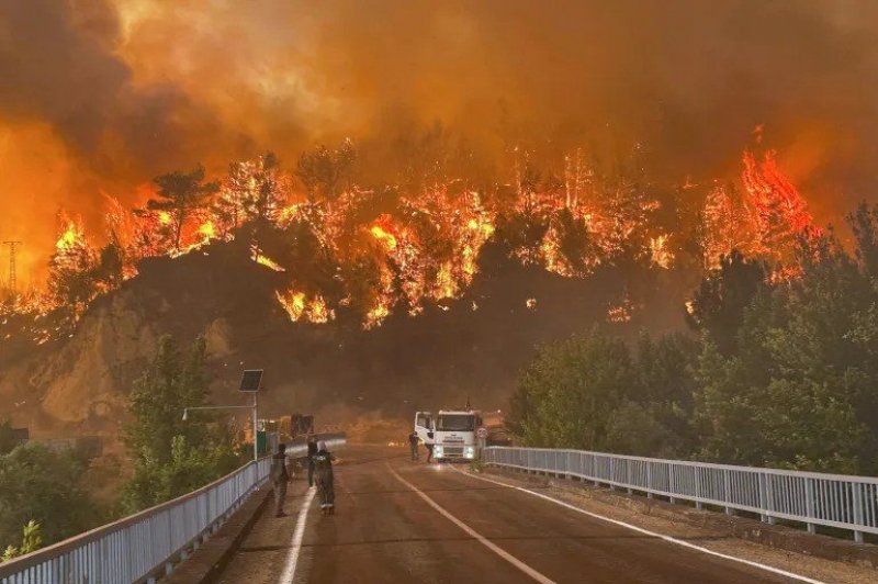 Fire spreads to forest in Türkiye Fire spreads to forest in Türkiye