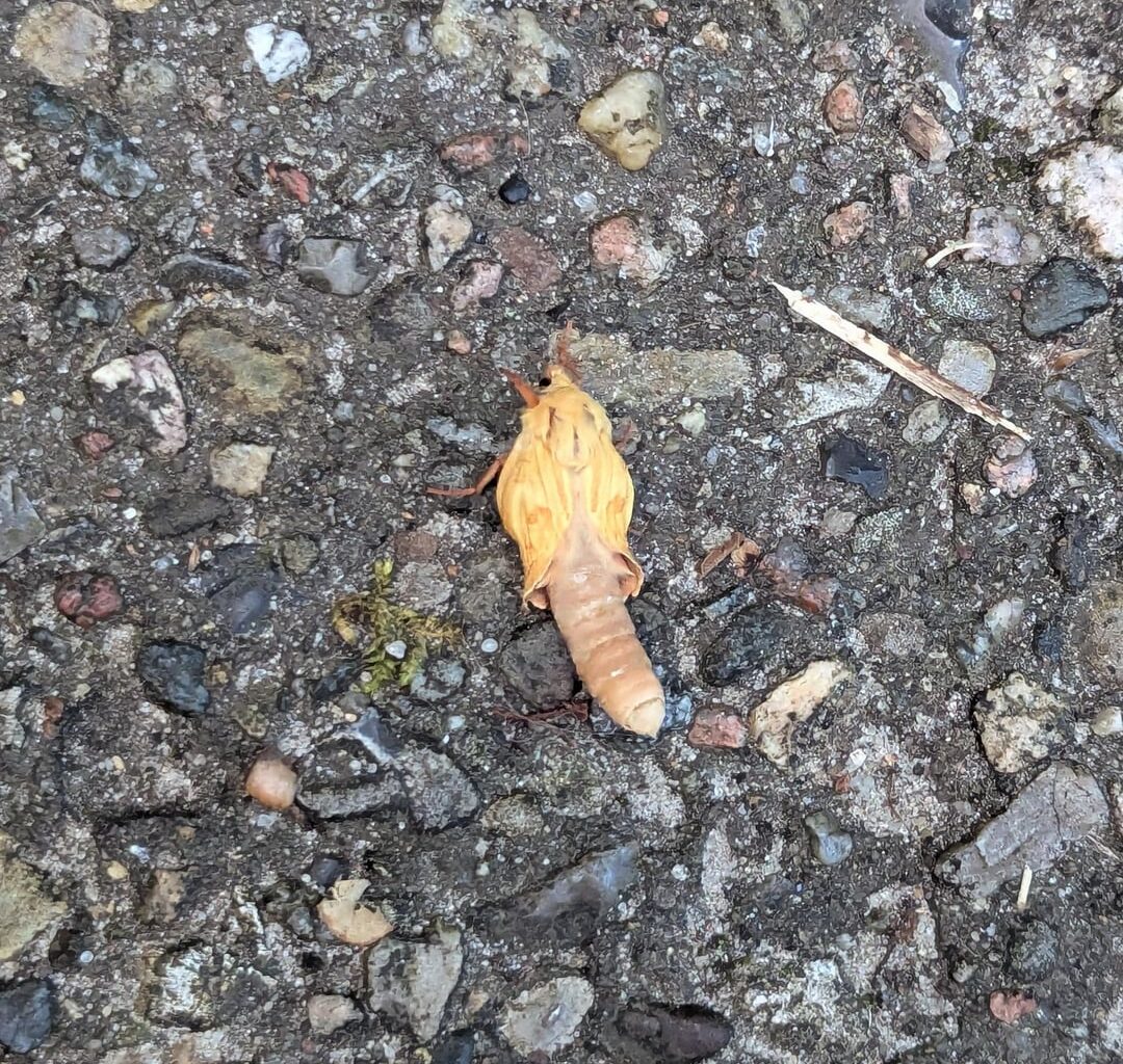 Was ist das?