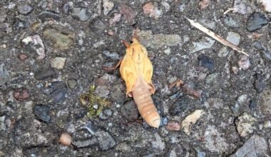 Was ist das?