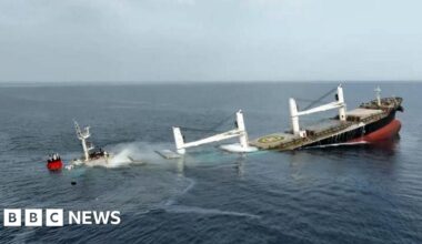Yemen Houthis sink second Red Sea cargo ship in a week