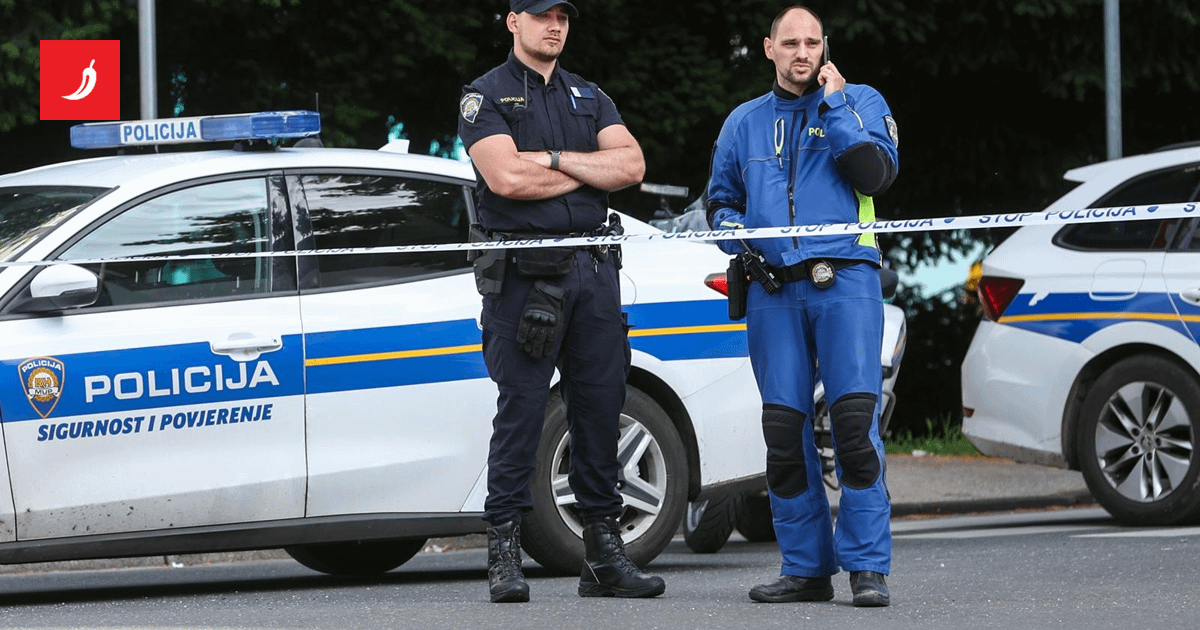 Novi detalji: Marokanac u Zagrebu glavu policajke nabio u zid