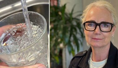 Gotland står inför akut vattenbrist – Landshövdingen: ”Det är allvar nu”