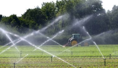 Reuters Links Greece to Illegal Pesticide Trade
