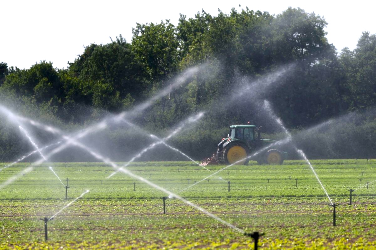 Reuters Links Greece to Illegal Pesticide Trade