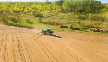 Belarusian Fertilizer Company Dodging EU Sanctions, Leaked Documents Show
