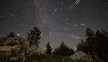 Everyone’s talking about the Perseid meteor shower – but don’t bother trying to see it in Australia or NZ