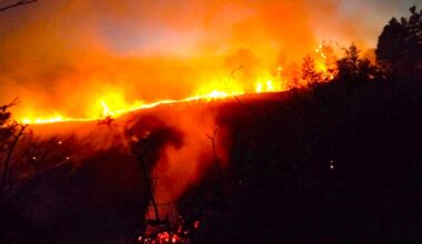 EU, Türkiye send help as Bulgaria battles blazes amid heatwave, strong winds – The Sofia Globe