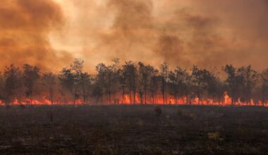 High fire risk warning issued for large parts of Greece