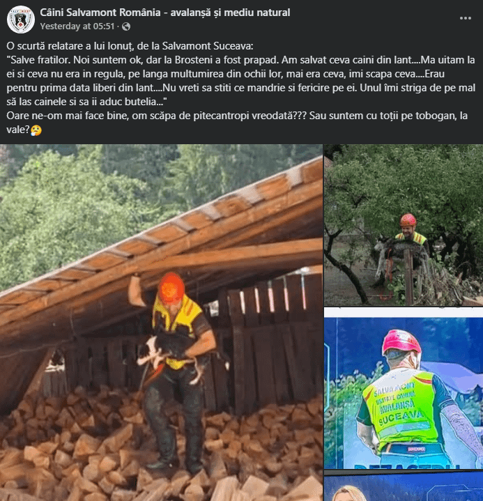 O viata loiala, desi in lant, ca sa vezi la final ca valorezi mai putin decat o butelie!