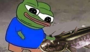 Ich🐈🐟iel